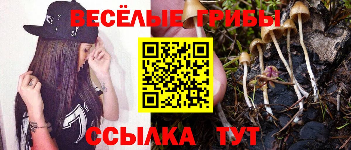 Галлюциногенные грибы мицелий Ливны