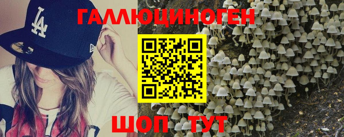 Псилоцибиновые грибы Cubensis  Галлюциногенные грибы ЛСД  Ливны  даркнет сайт  Вход с VPN 
